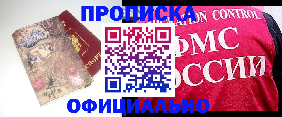 прописка в квартире в Ермолино